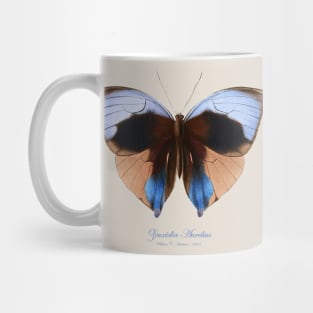 Butterfly - Giant Saturn or Zeuxidia Aurelius Mug